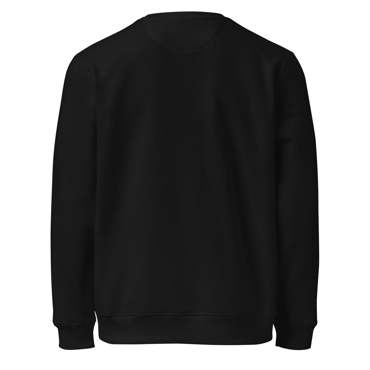 Back view of The Echoes Sweatshirt in black showing the clean, unprinted back.