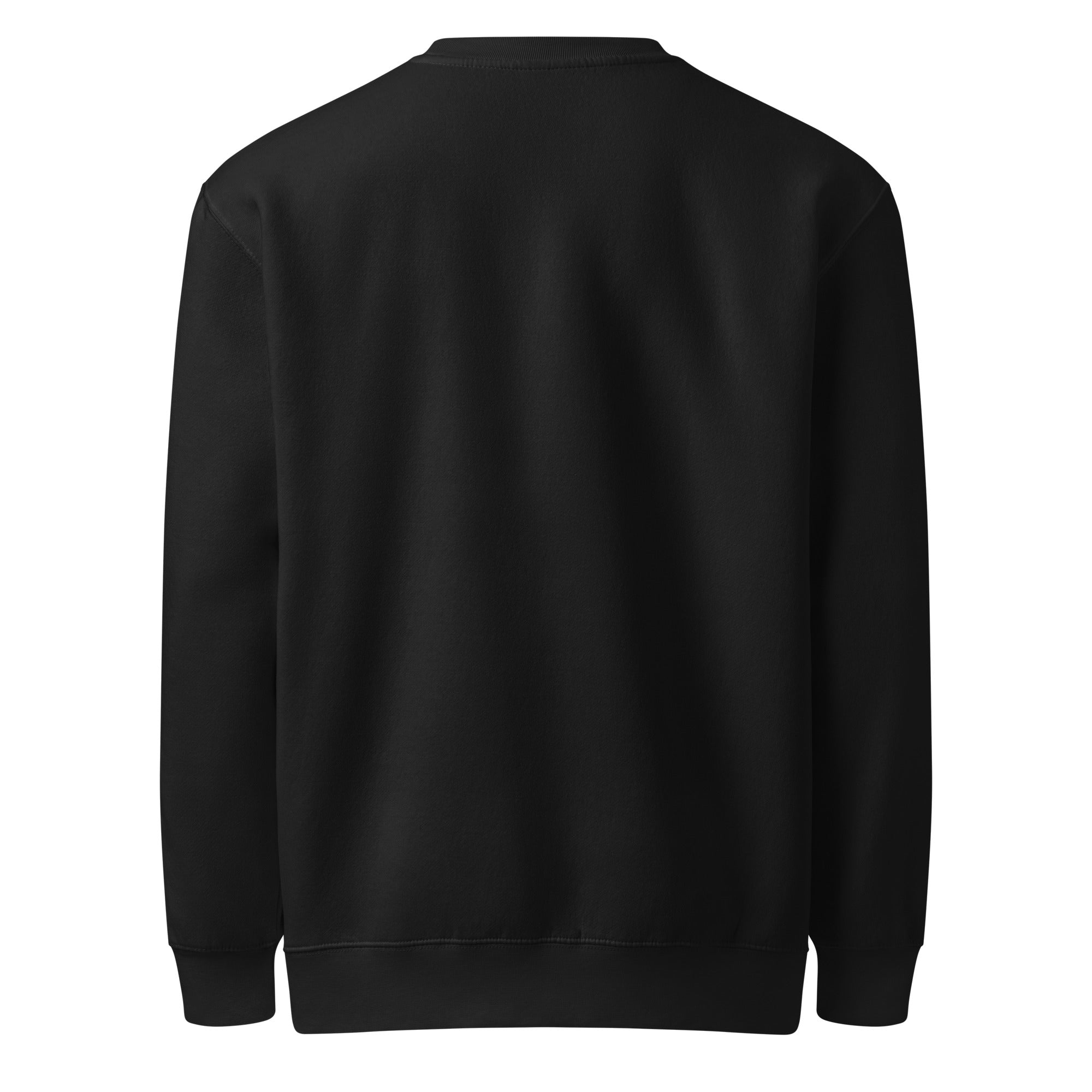 Back view of The False Ceiling Sweatshirt in black showing the clean blank-back design.